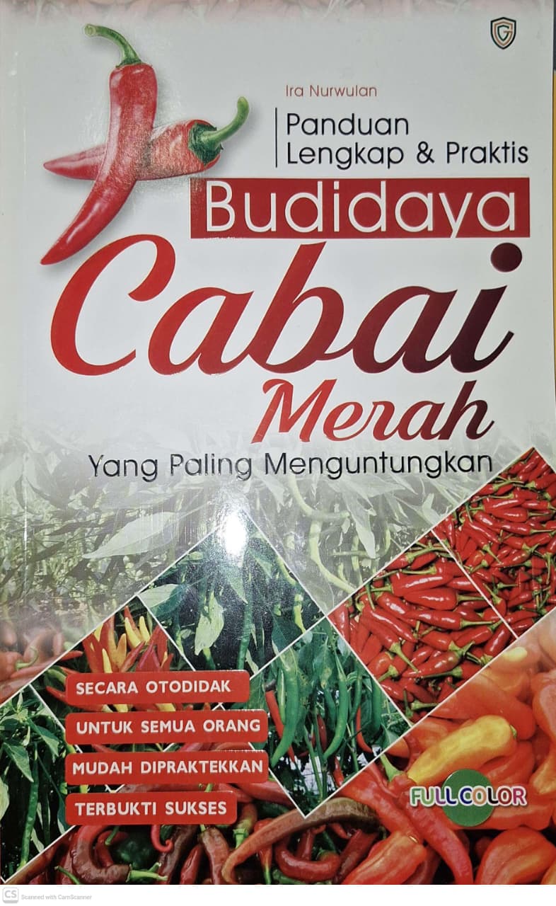 Budidaya Cabai Merah