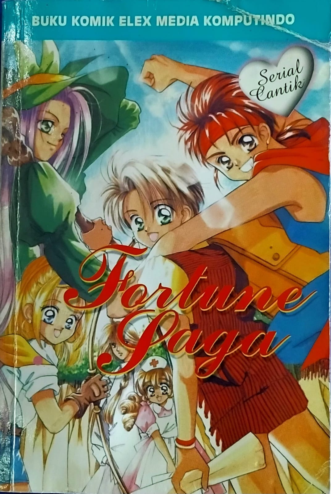 Fortune Saga
