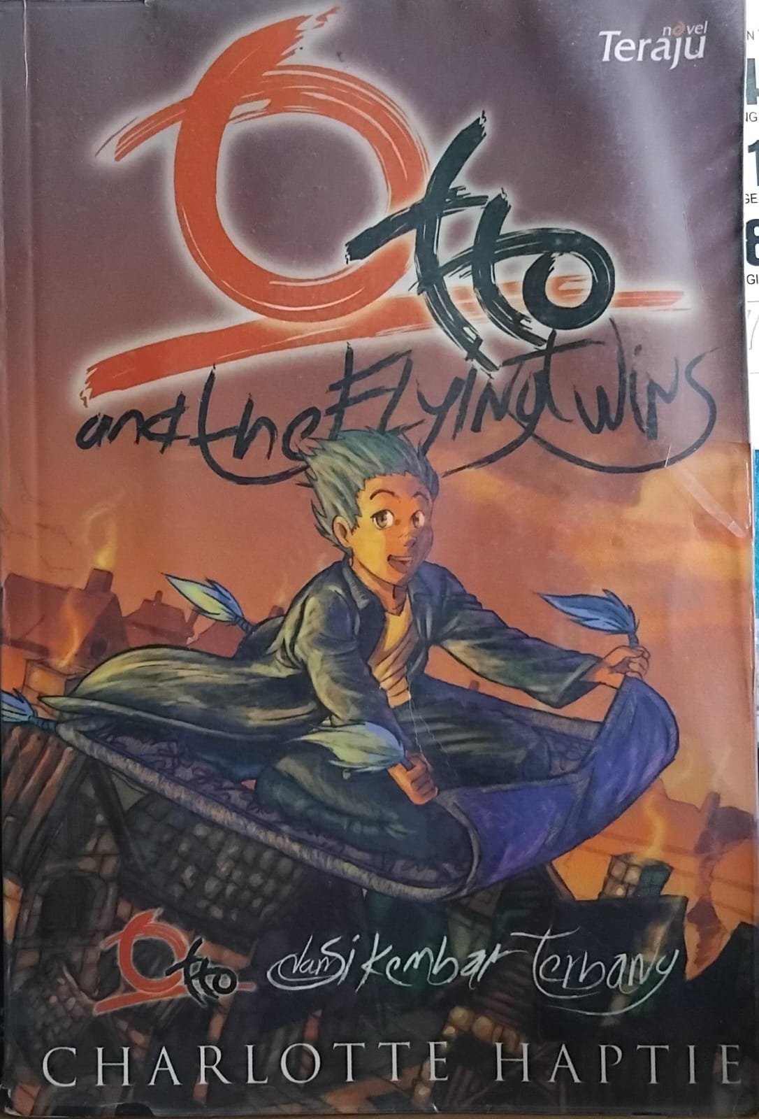 Otto And The Flying Twins