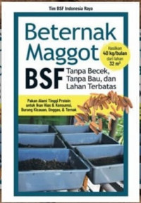 Beternak Maggot BSF