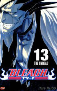 Bleach 13