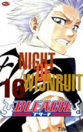 Bleach 16