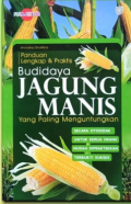 Budidaya Jagung Manis