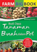 Budi Daya Tanaman Buah dalam Pot