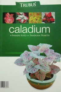 Caladium: Parade Foto, Panduan Praktis