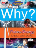 Why? Future Energy